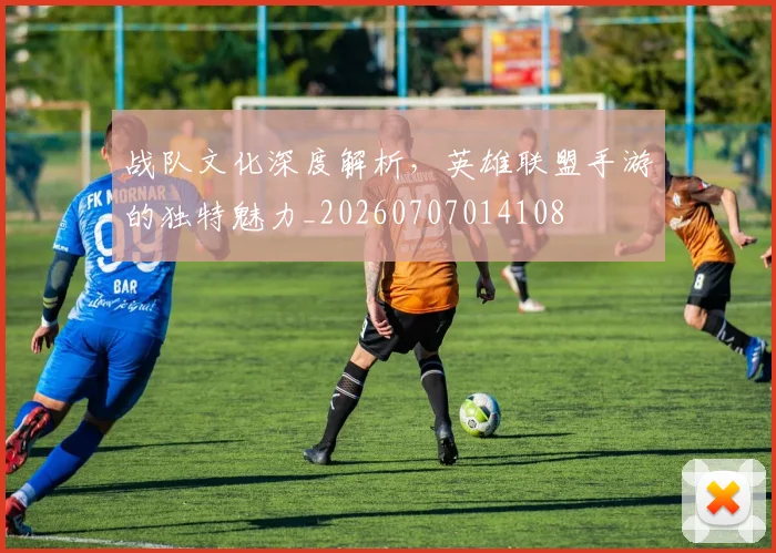 战队文化深度解析,英雄联盟手游的独特魅力_20260707014108
