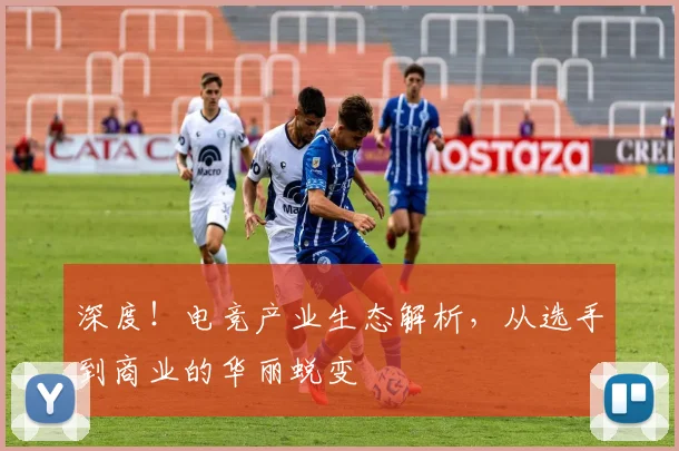 深度!电竞产业生态解析,从选手到商业的华丽蜕变