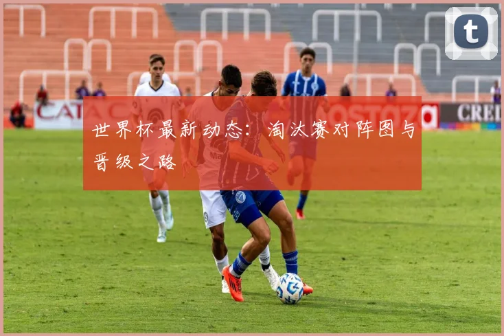 世界杯最新动态:淘汰赛对阵图与晋级之路